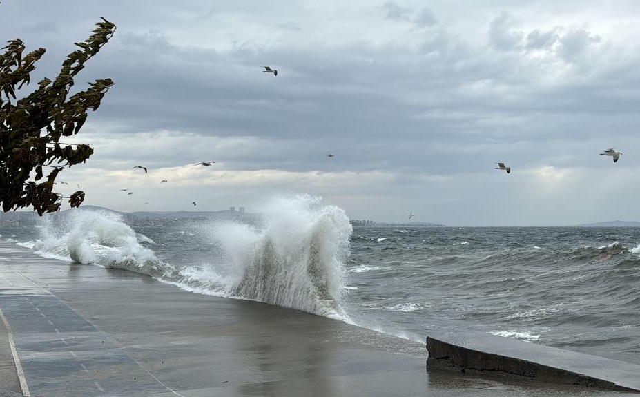 Weather disruptions halt sea transport in Türkiye's Marmara Sea