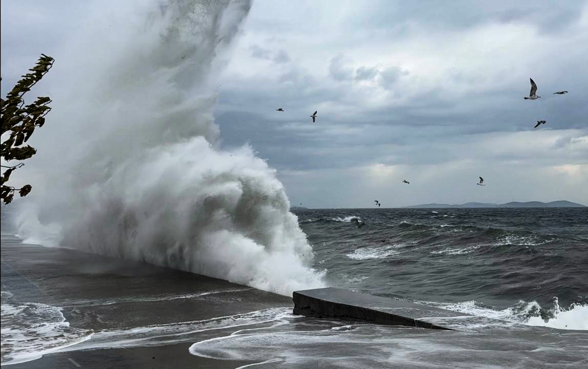 Weather disruptions halt sea transport in Türkiye's Marmara Sea