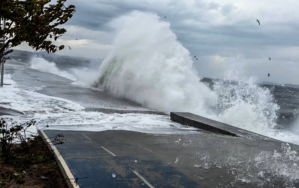 Weather disruptions halt sea transport in Türkiye's Marmara Sea