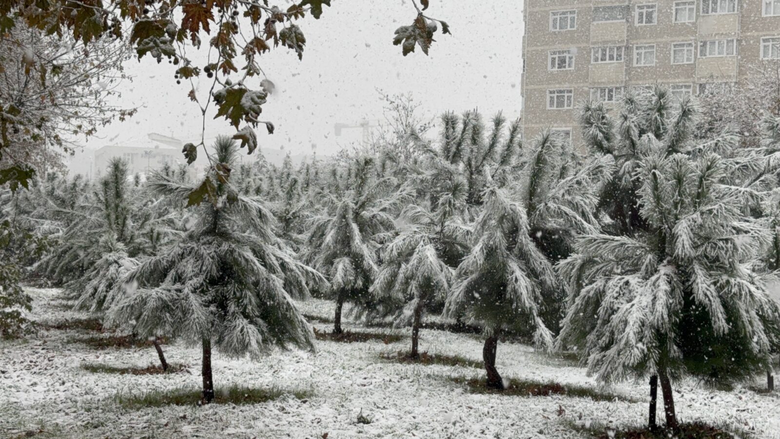 Adverse weather in Istanbul disrupts life, creates frightening scenes for locals