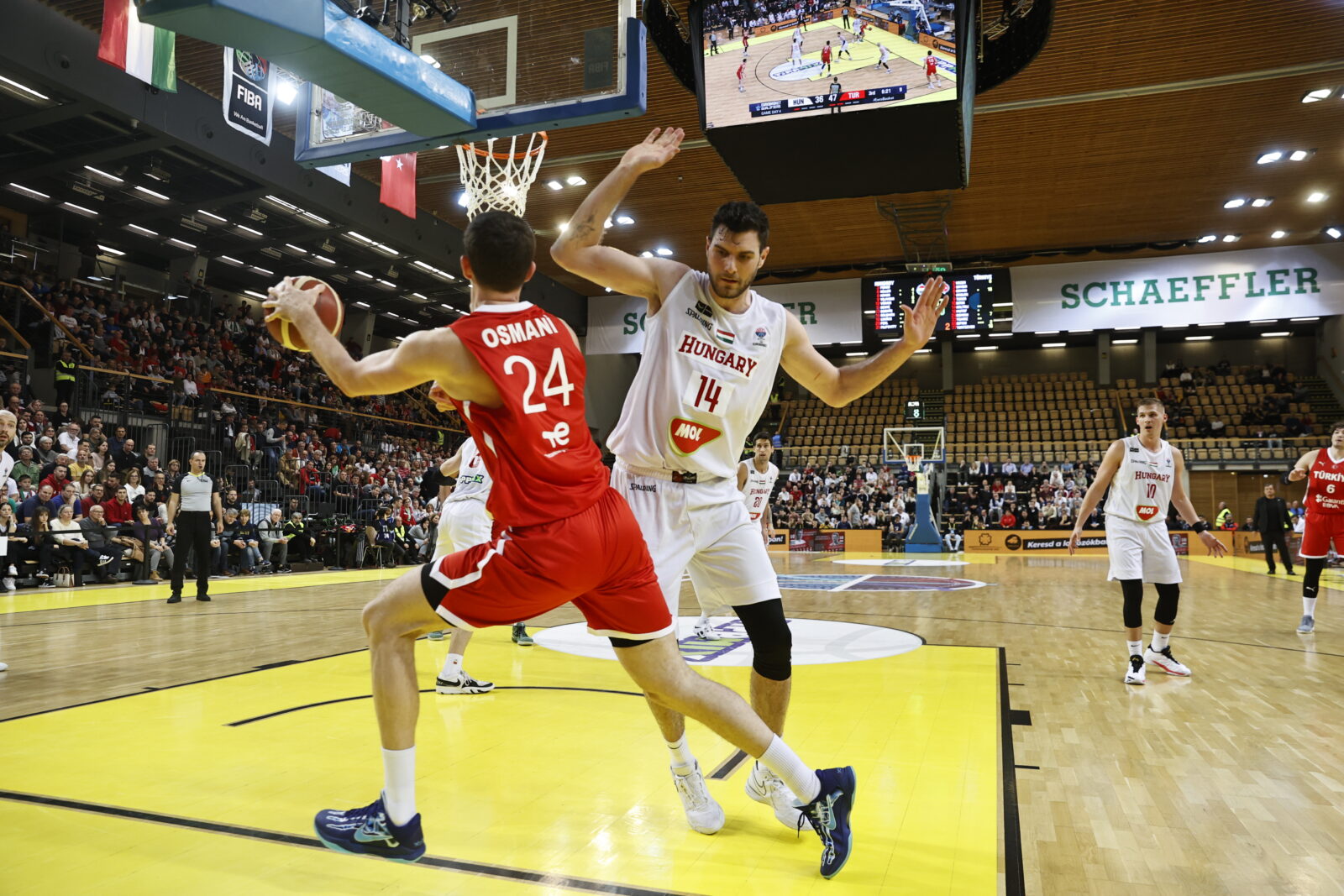 Türkiye qualifies for 2025 EuroBasket after hard-fought 81-76 victory over Hungary