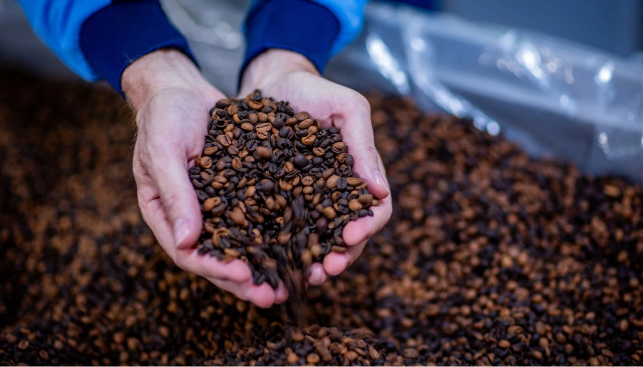 Photo shows Roasted coffee beans.