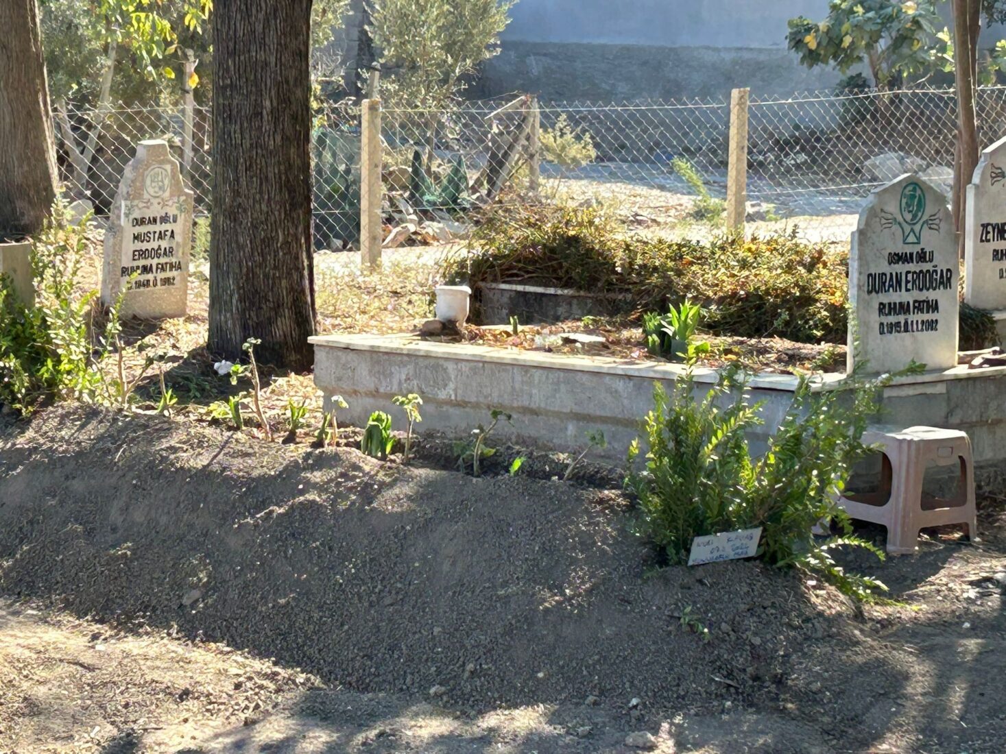 Ancient silver fortune of 1,100 coins unearthed in Türkiye's Mersin Cemetery during grave dig