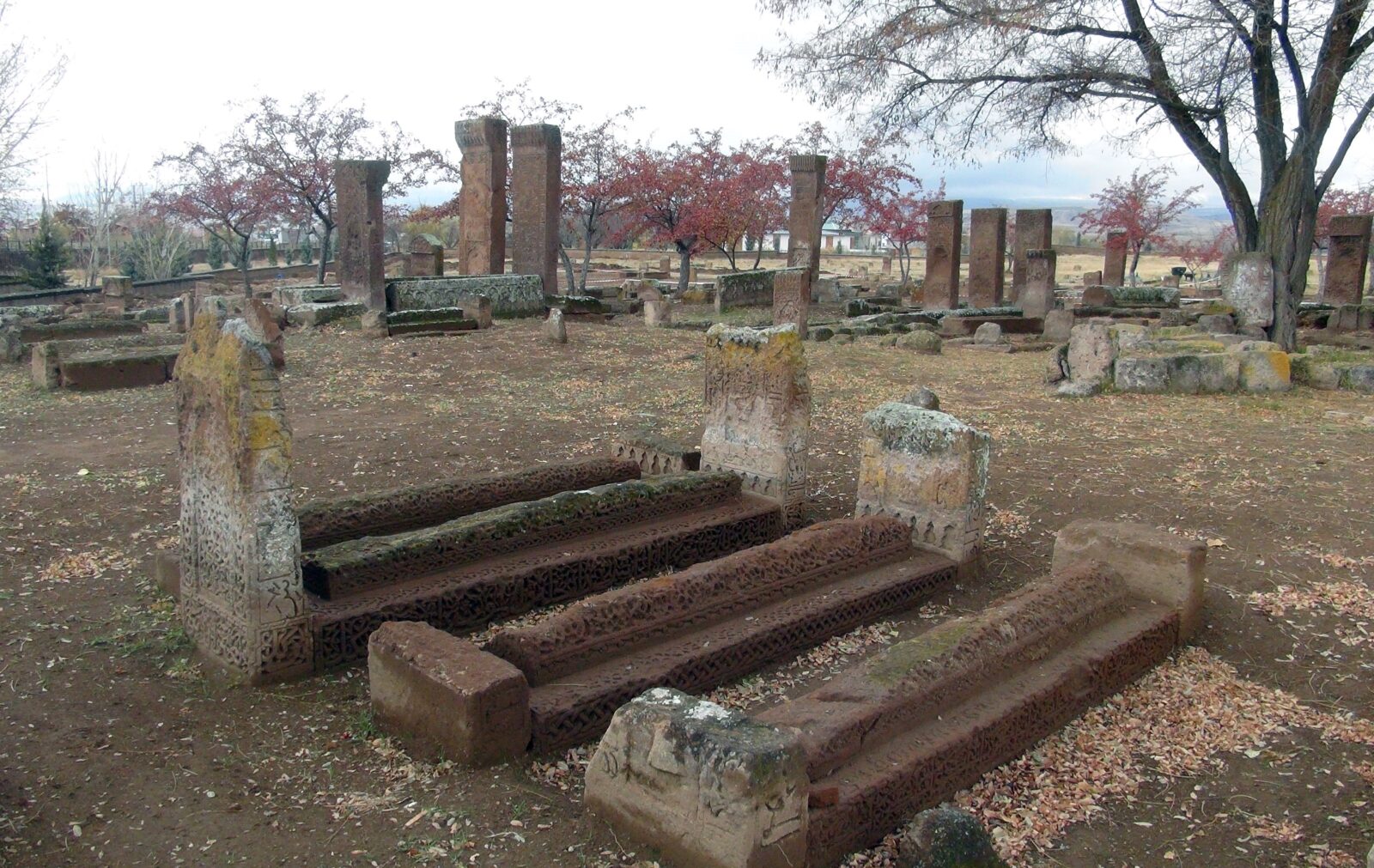 109 new graves unearthed at Türkiye's Ahlat Seljuk Cemetery