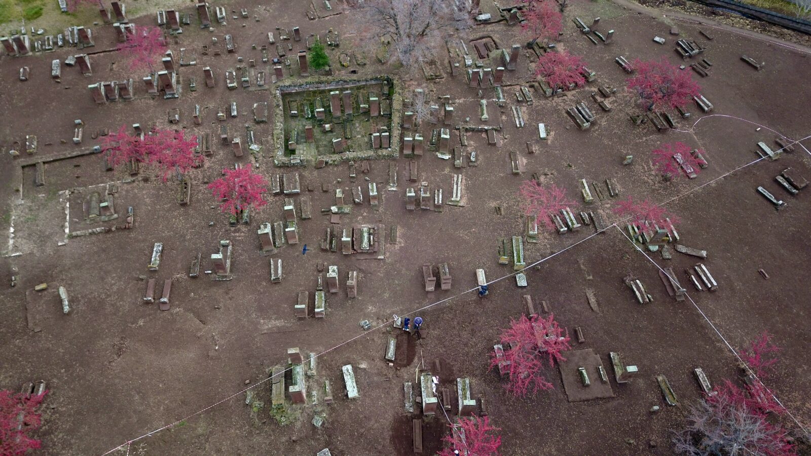 109 new graves unearthed at Türkiye's Ahlat Seljuk Cemetery