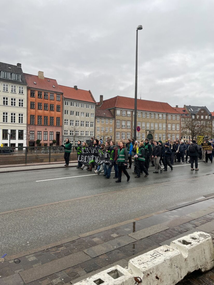 Climate activists take to Copenhagen streets against livestock emissions