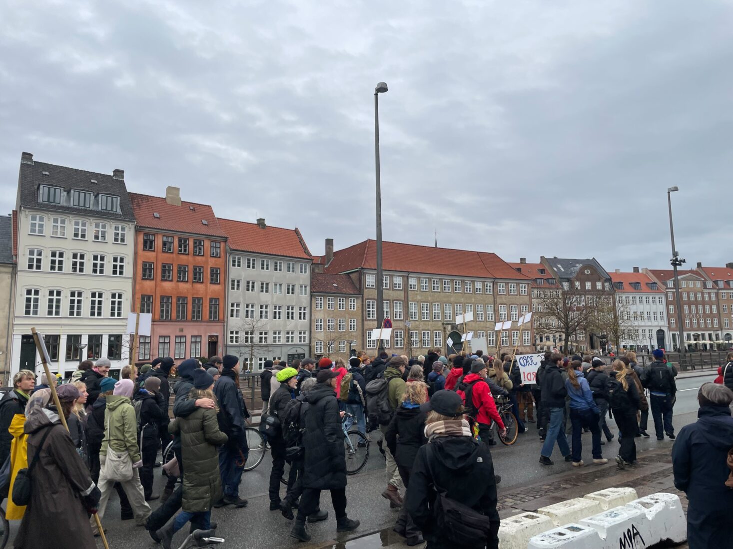 Climate activists take to Copenhagen streets against livestock emissions