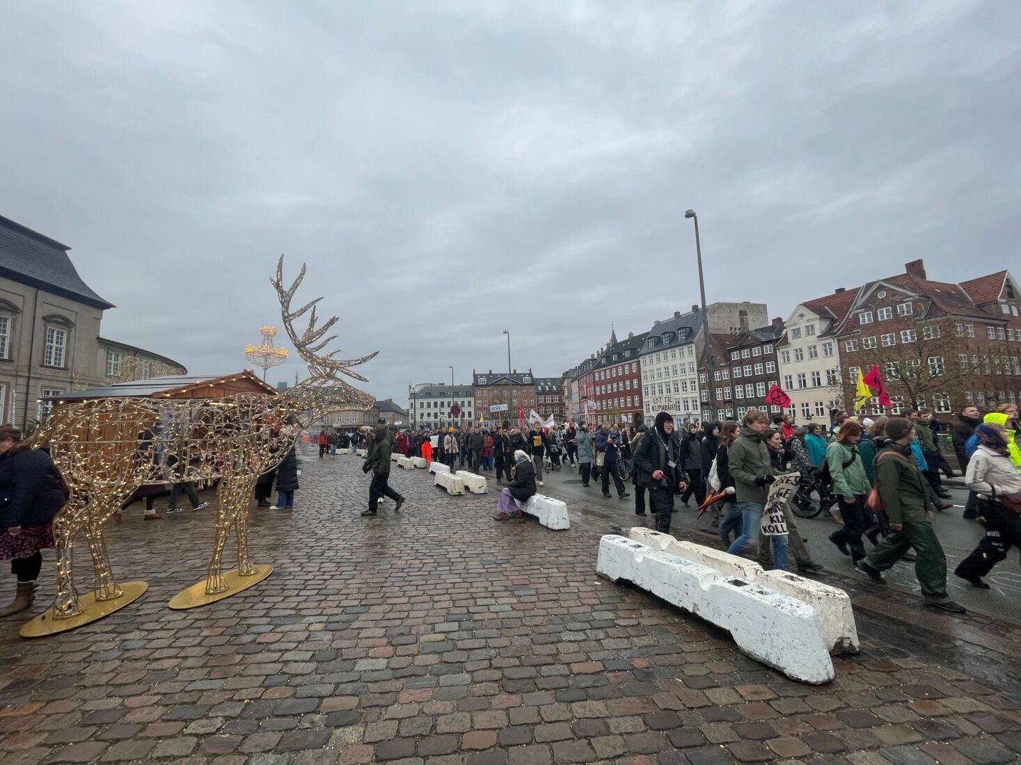 Climate activists take to Copenhagen streets against livestock emissions