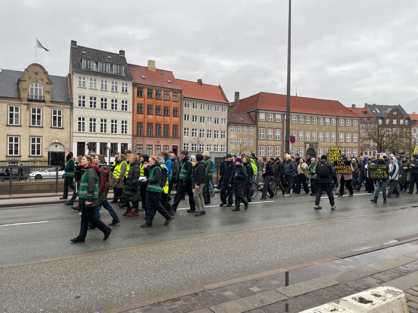 Climate activists take to Copenhagen streets against livestock emissions