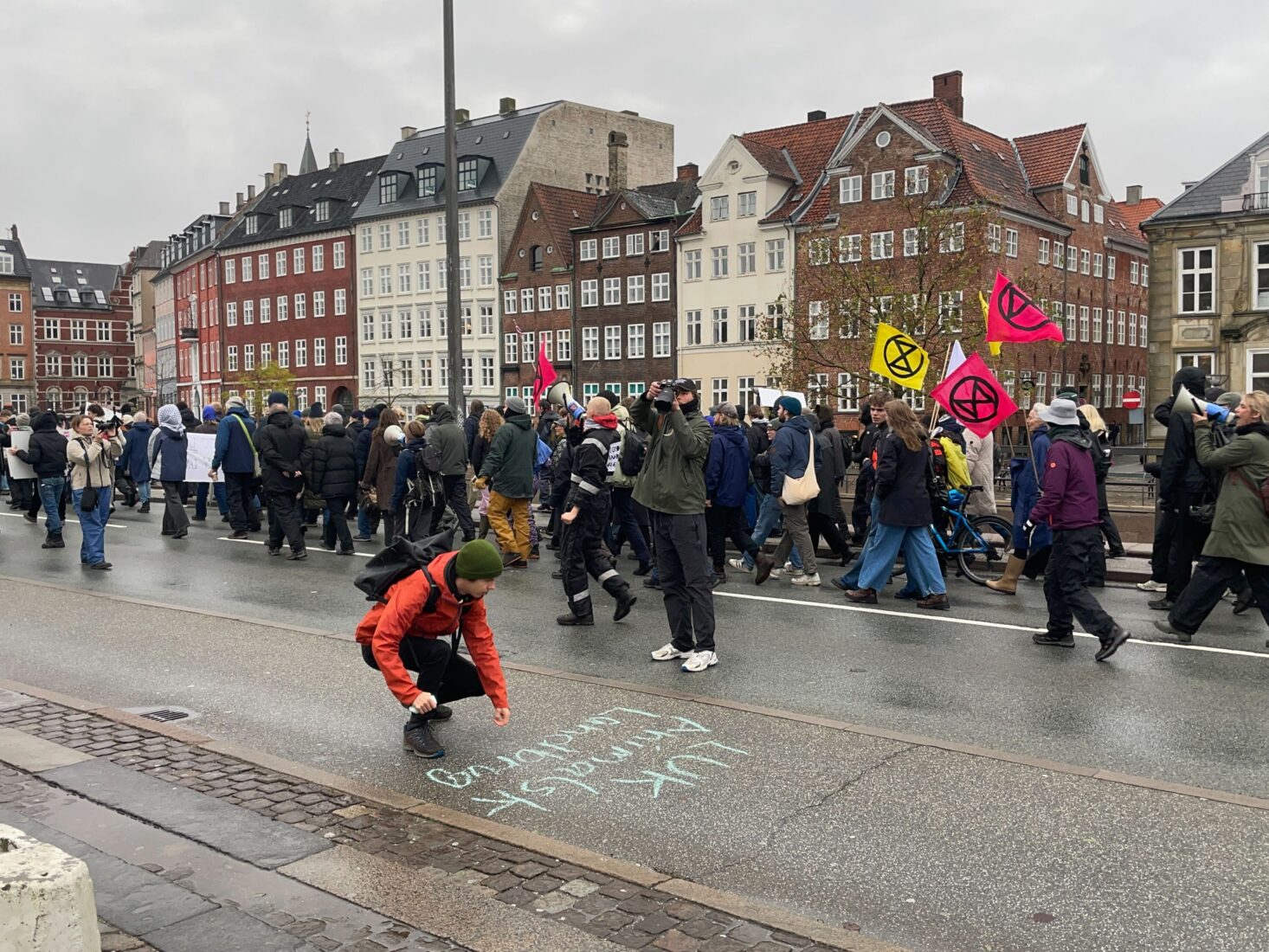 Climate activists take to Copenhagen streets against livestock emissions