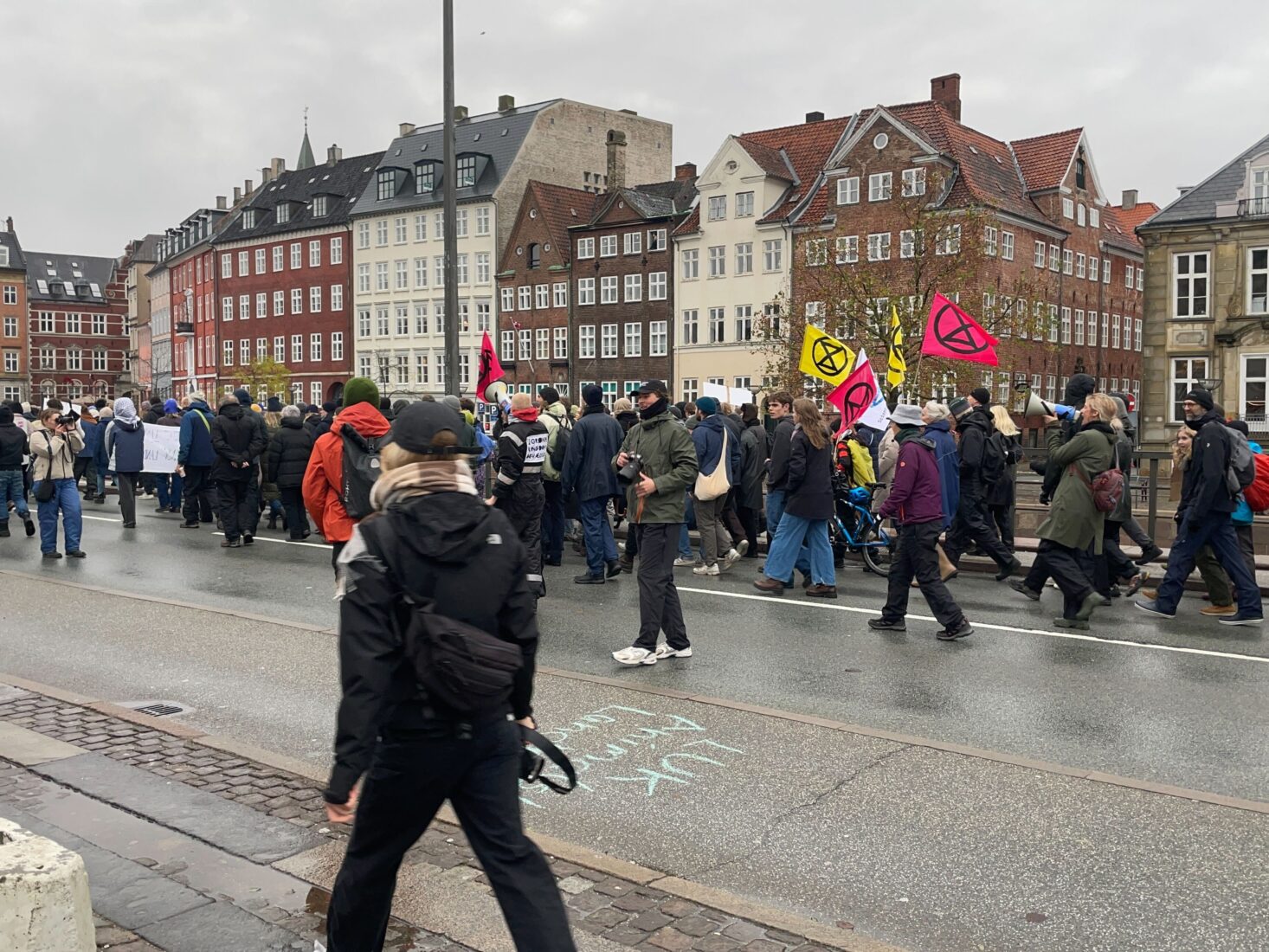 Climate activists take to Copenhagen streets against livestock emissions