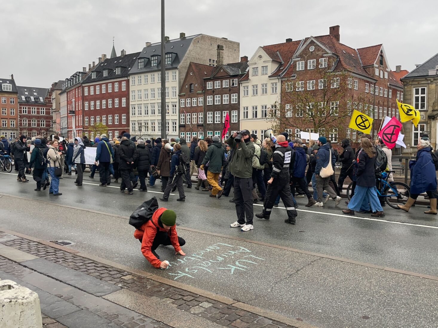 Climate activists take to Copenhagen streets against livestock emissions