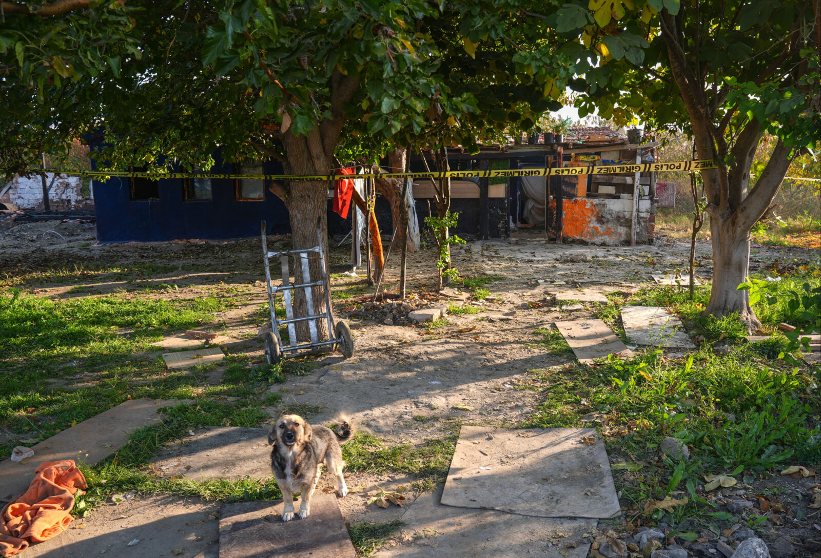 5 siblings die in Türkiye house fire: Debate over government aid, poverty, child welfare