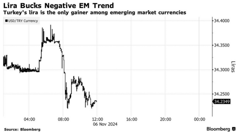 Hedge funds turn to Turkish lira amid global currency volatility spike