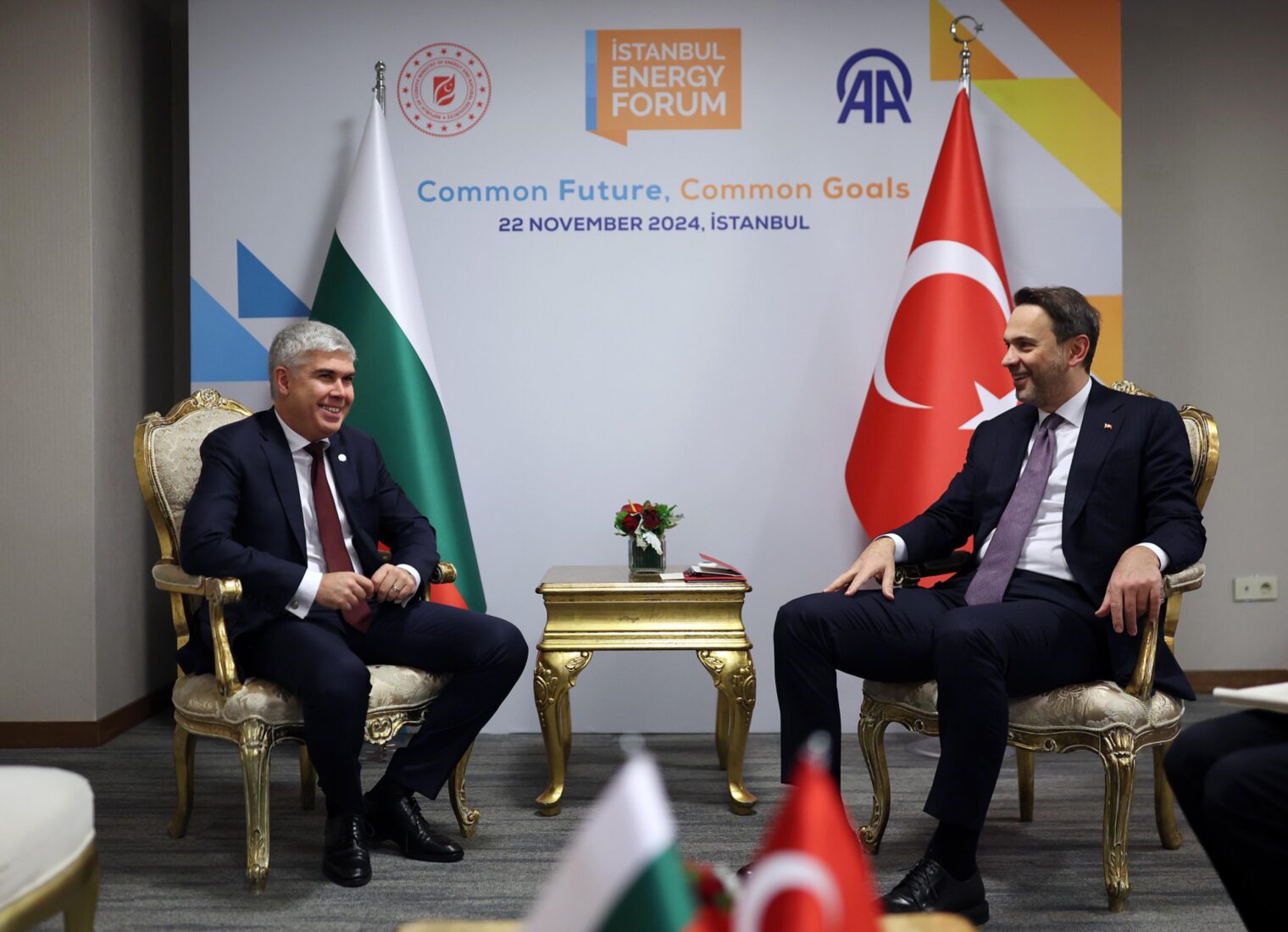 Türkiye, Bulgaria discuss enhancing electricity, natural gas interconnections