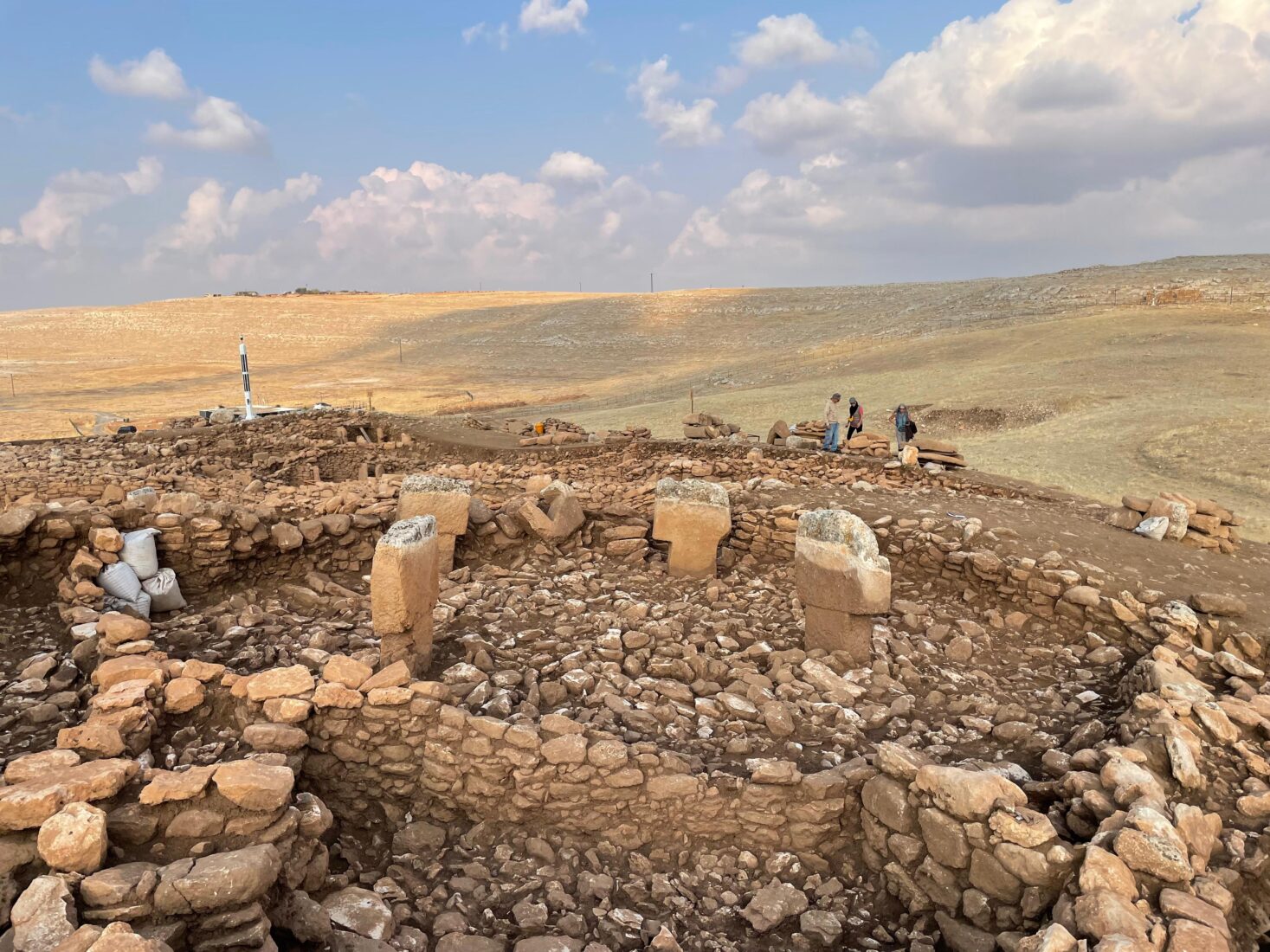 Int'l scholars, journalists marvel at Türkiye's ancient heritage at World Neolithic Congress