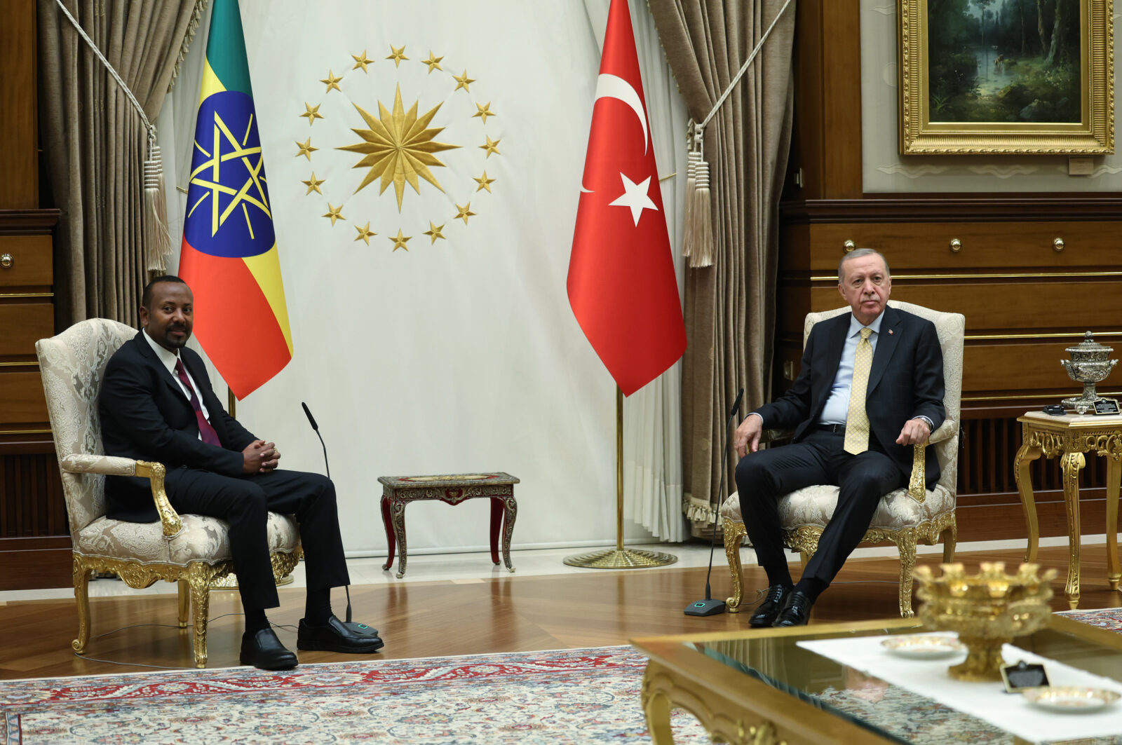 Türkiye mediates to ease Somalia-Ethiopia tensions in Ankara meetings