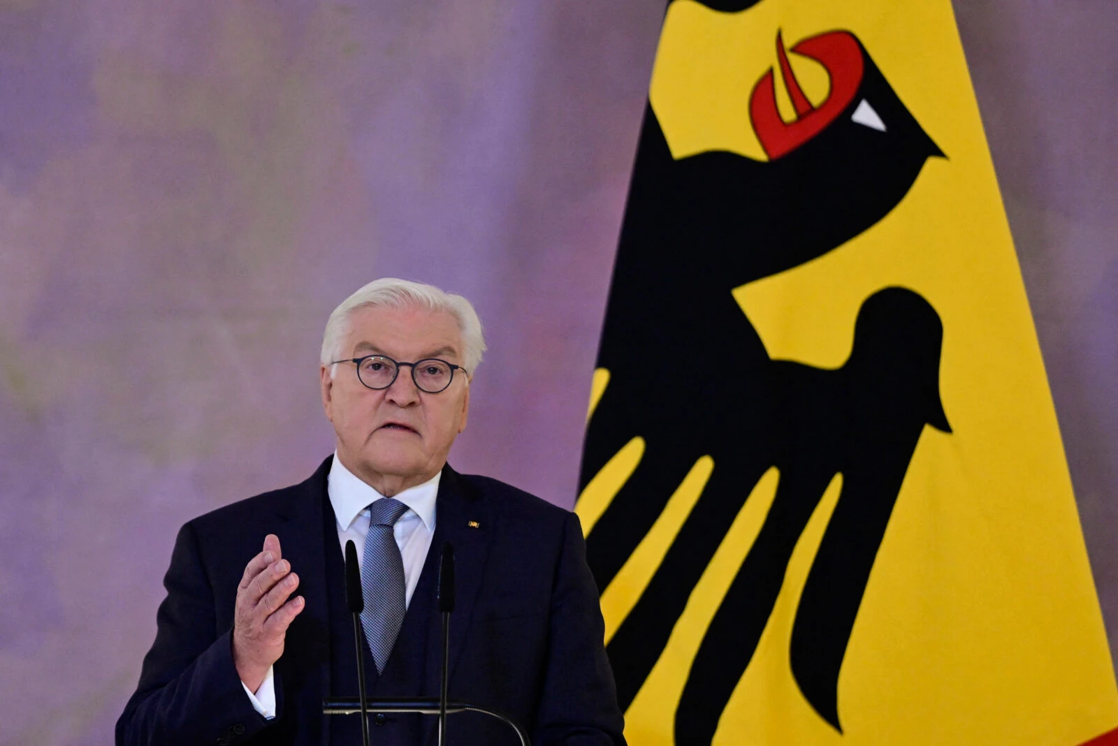 German President Frank-Walter Steinmeier