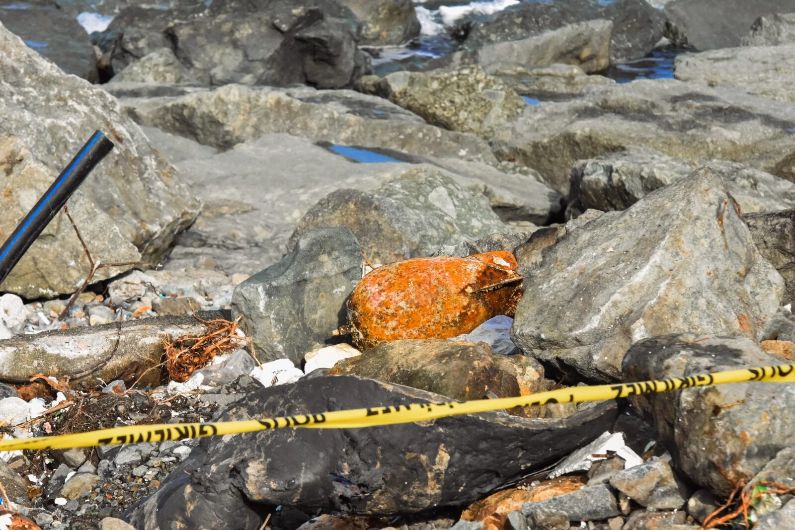 Unexploded ordnance found on Türkiye's Black Sea city Rize's coastline