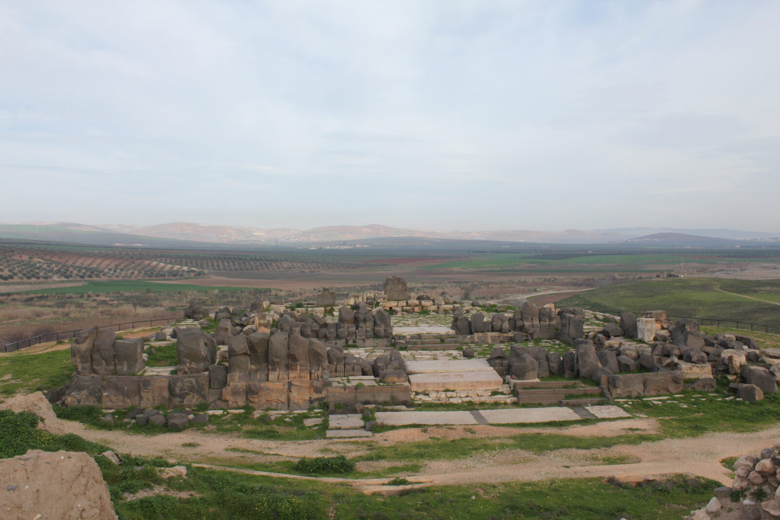 Assad involved in illegal excavations, former head of Aleppo National Museum tells Türkiye Today