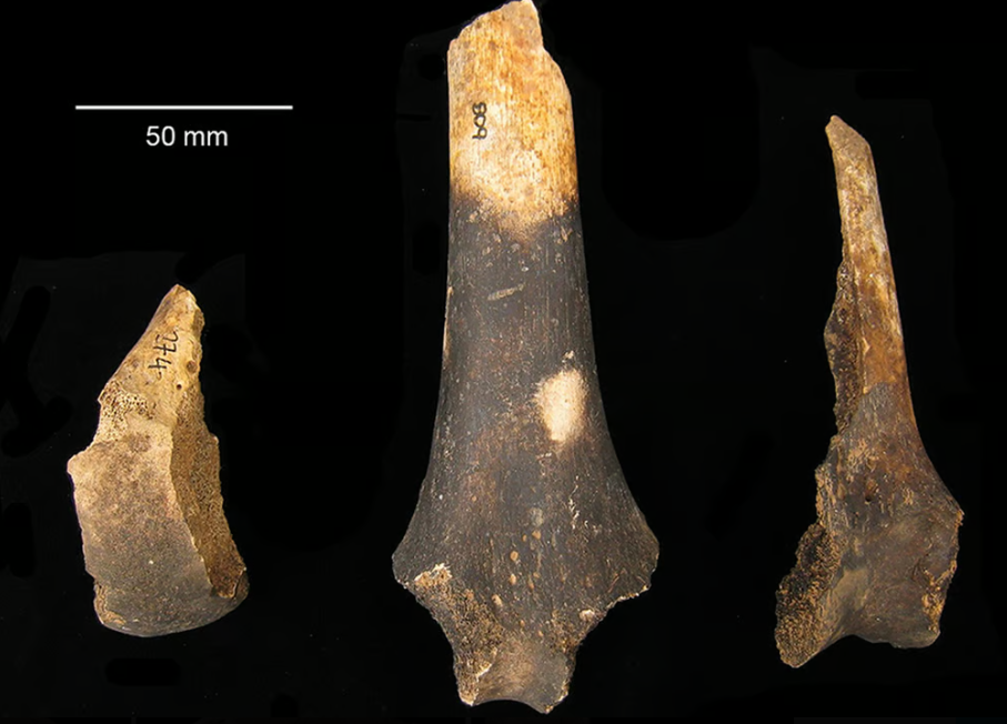 Shocking discovery: 4,000-year-old cannibalism evidence found in Bronze Age massacre in UK