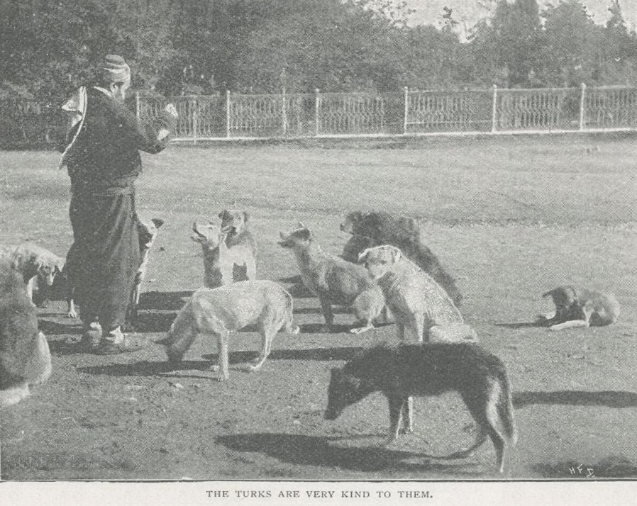 ottoman empire animals dogs