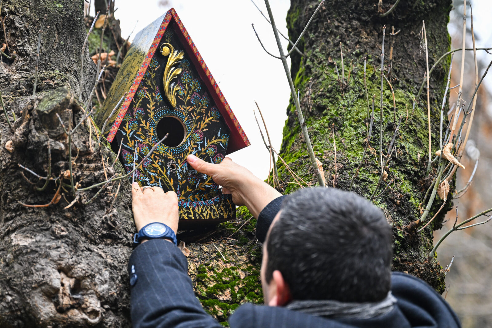 Artist inspired by frozen bird builds 1,000 decorative birdhouses in Türkiye’s public spaces