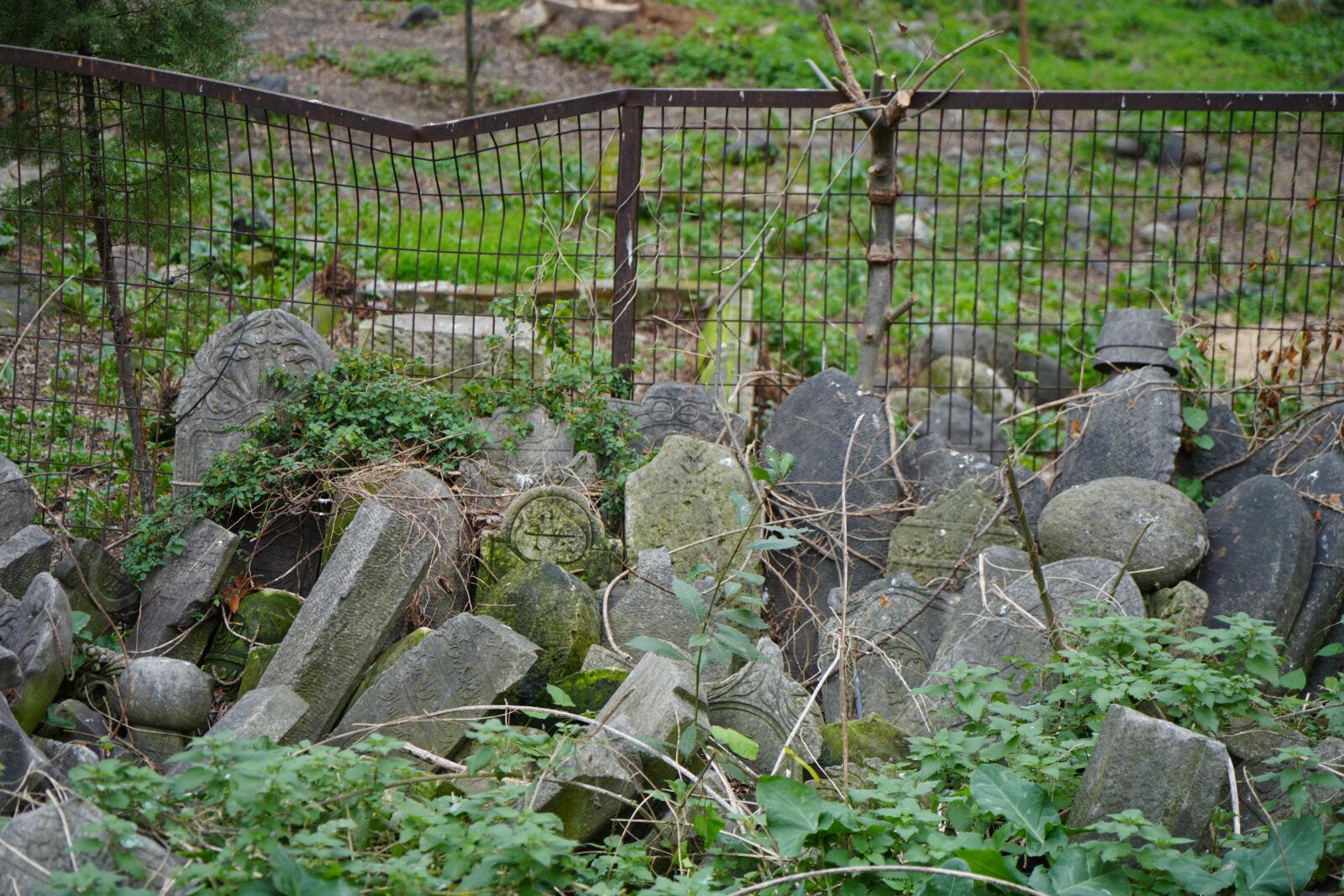 Seyyid Kutbiddin Cemetery in Türkiye's Samsun opens doors to public post restoration