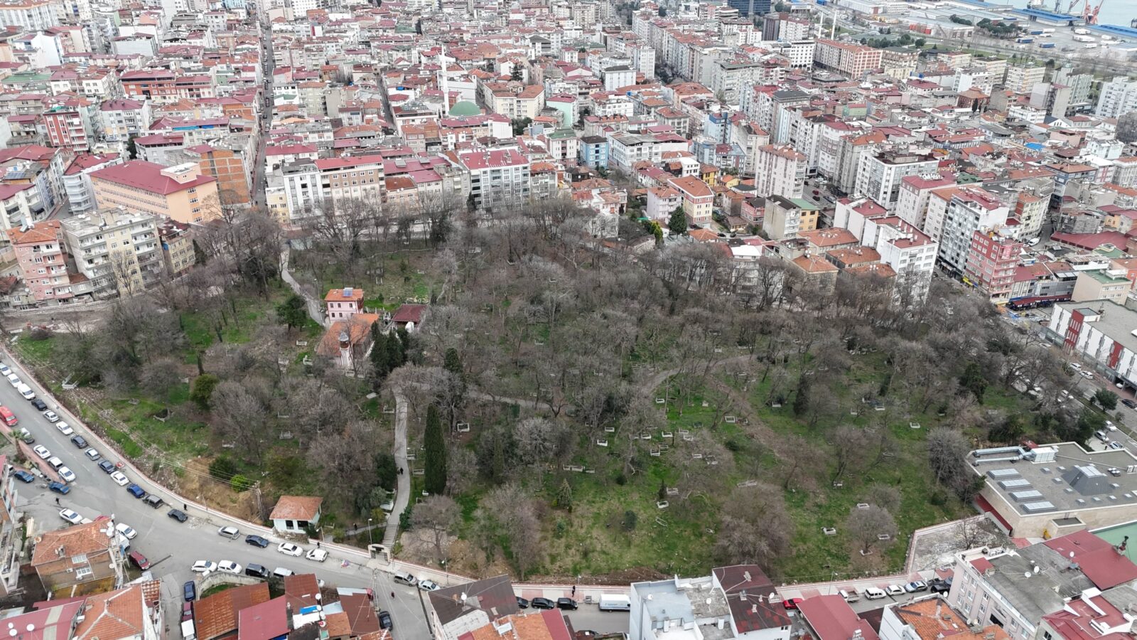 Seyyid Kutbiddin Cemetery in Türkiye's Samsun opens doors to public post restoration