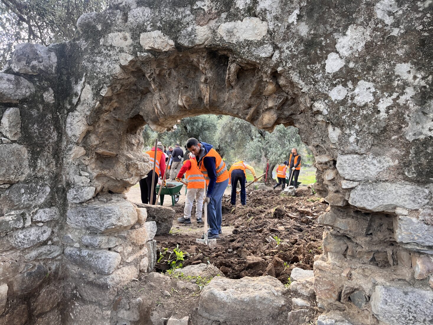 Türkiye's ancient Herakleia’s hidden love for animals revealed through paw prints, artifacts