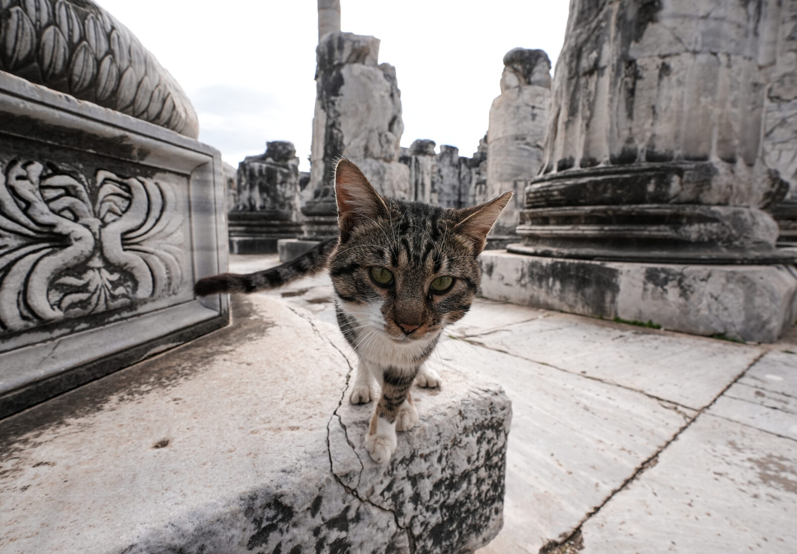 Apollon Temple: Must-visit in Türkiye as 132,000 visitors experience ancient wonders in 2024