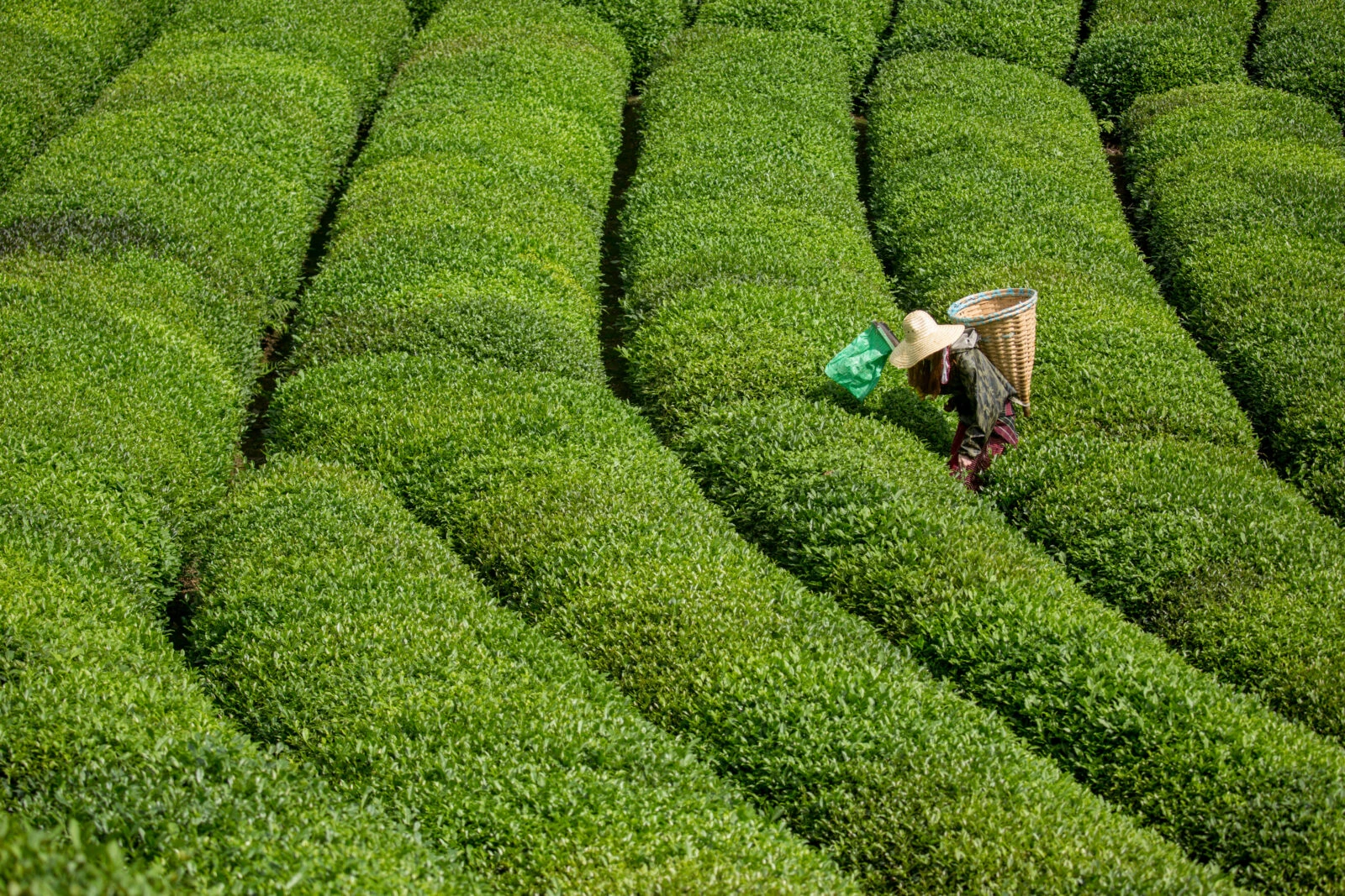 turkish tea