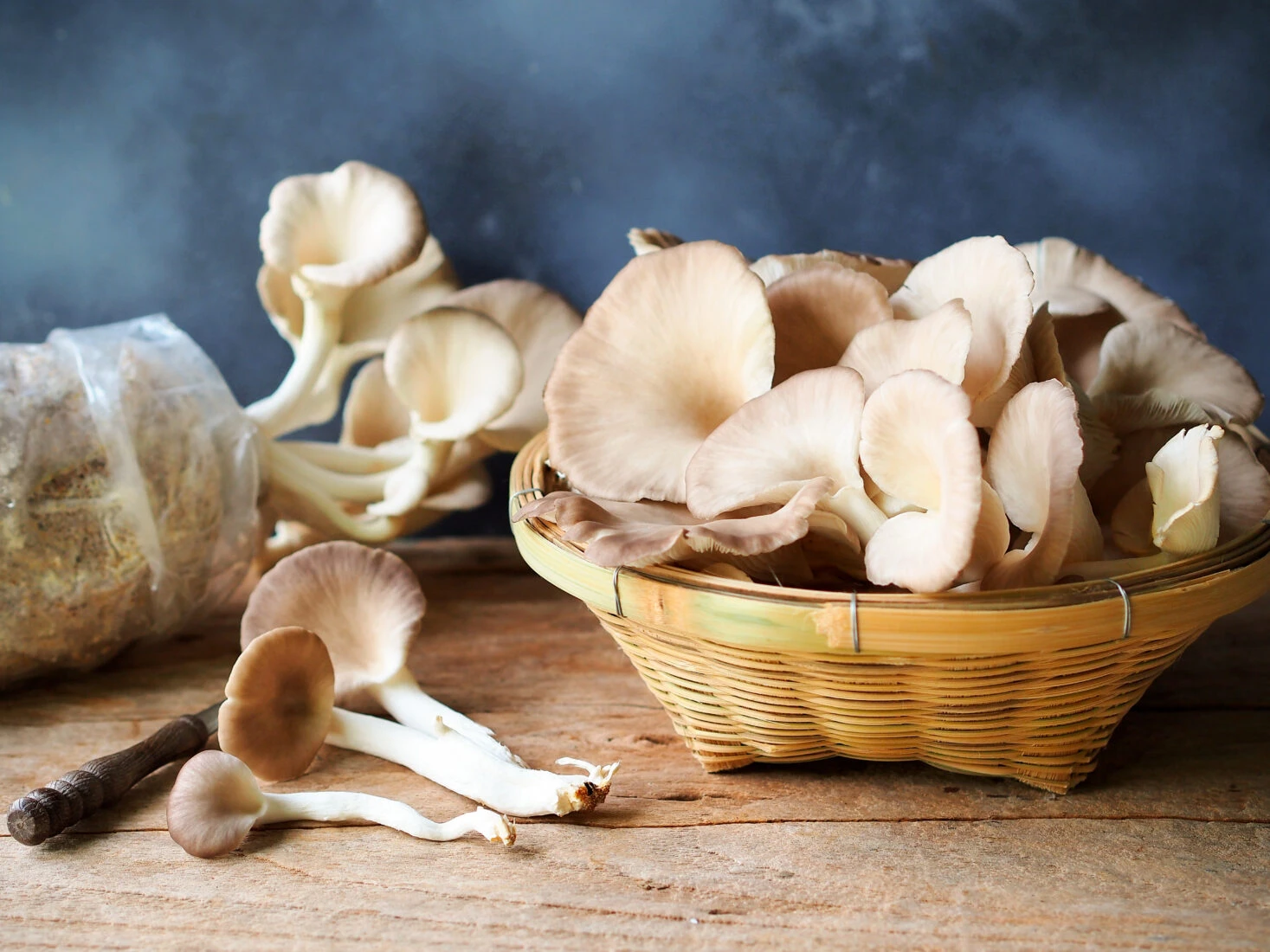 8 delicious and nutritious edible mushrooms found in Türkiye