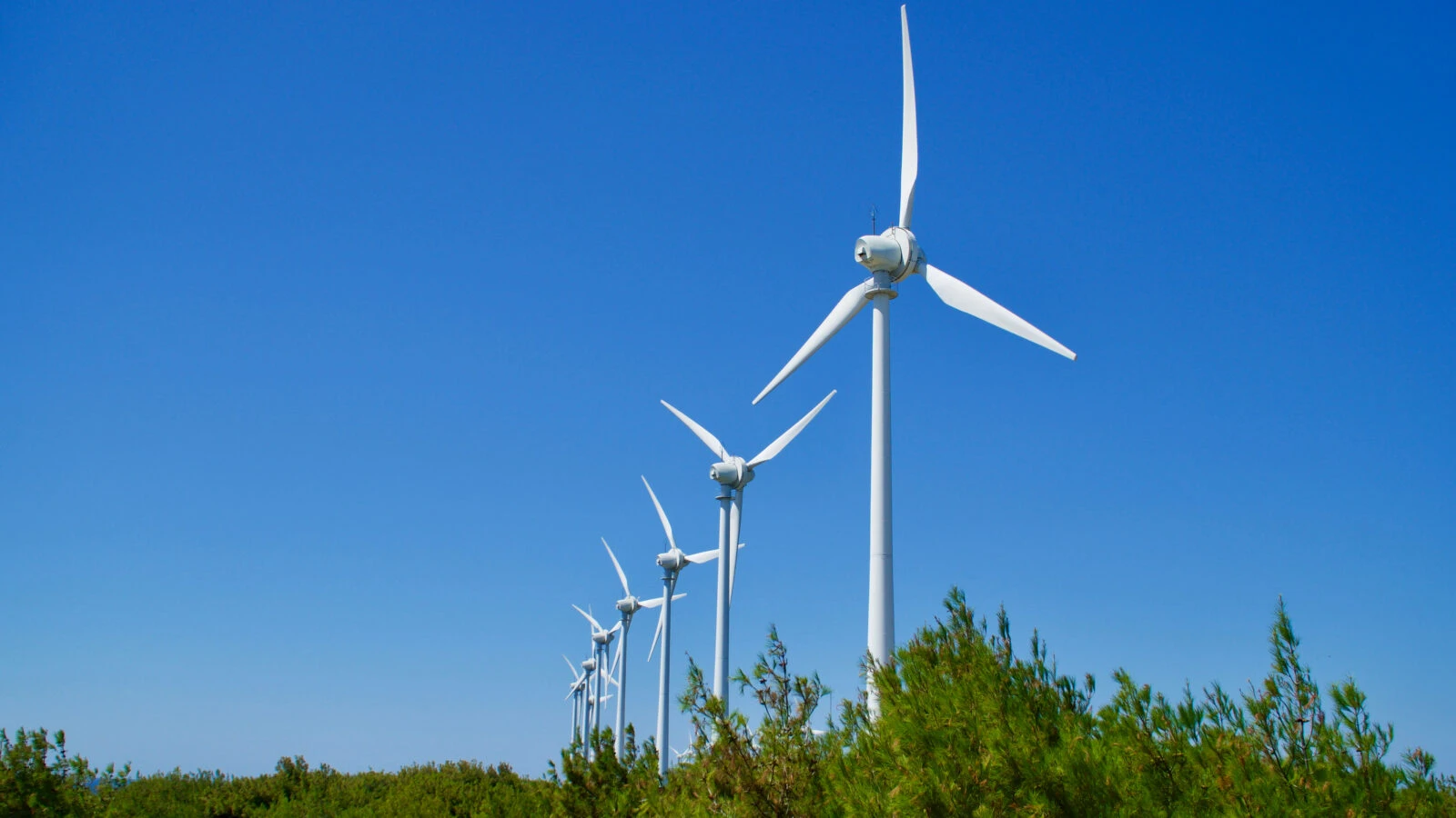 A row of wind turbines standing against a clear blue sky, surrounded by green vegetation, generating renewable energy in Türkiye. (Adobe Stock Photo)