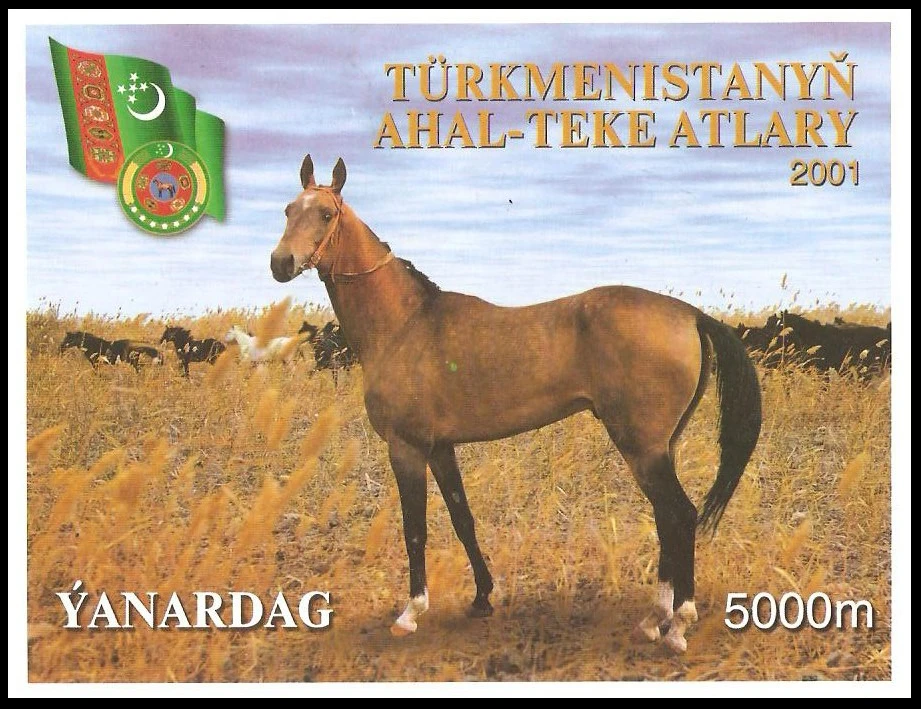 Turkmenistan 2001 miniature sheet showcasing an Akhal-Teke horse in the foreground with a herd in the background, valued at 5000 M.