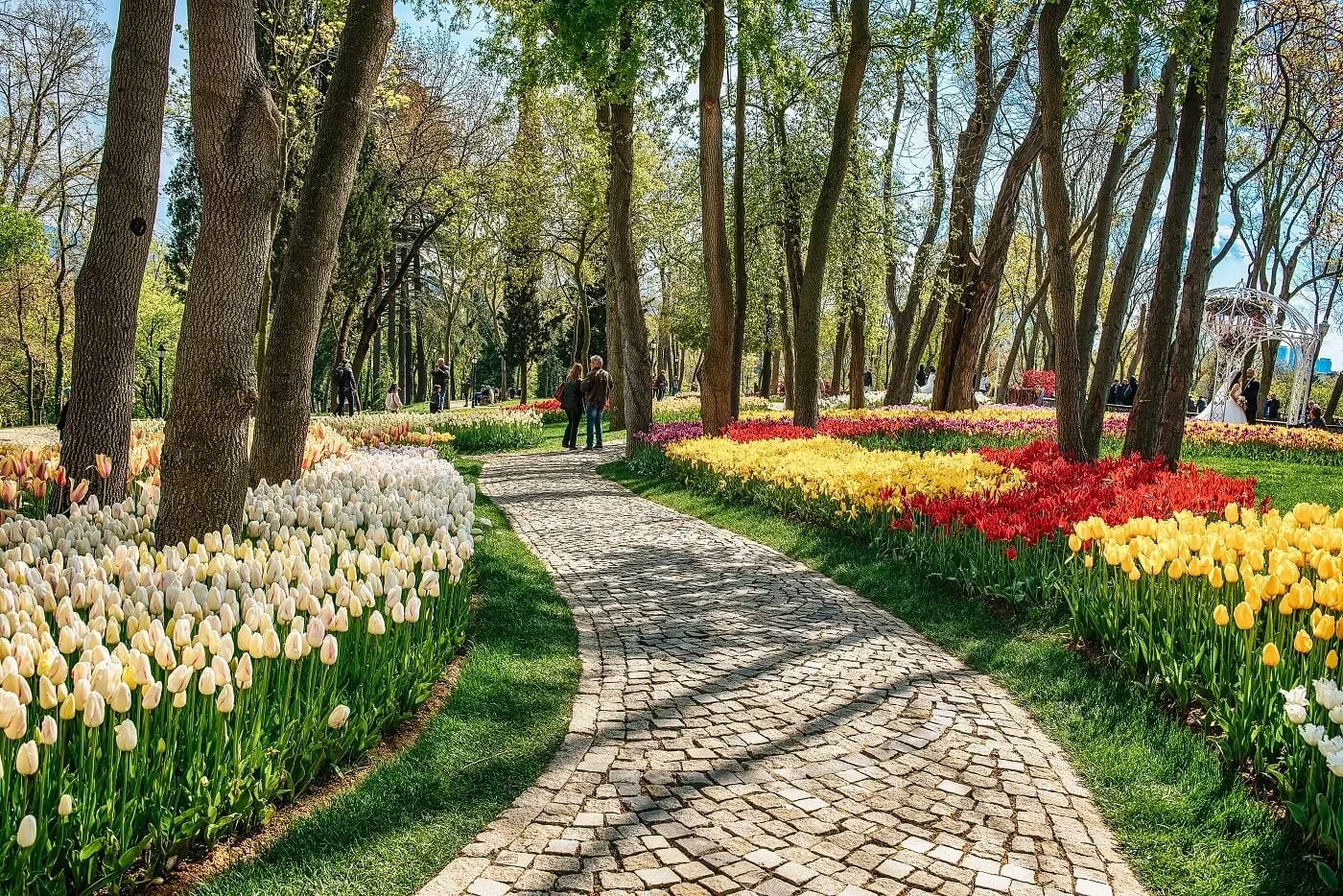 Gardens of Istanbul: Finding peace in a bustling city