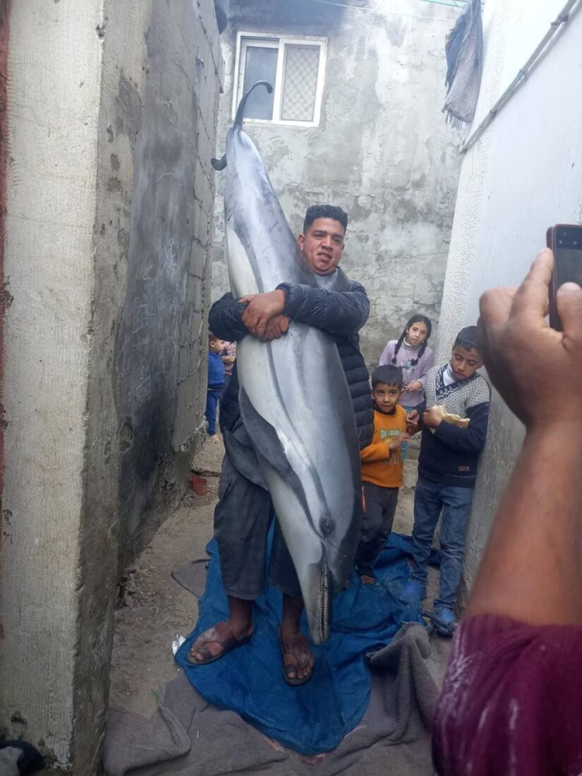 Palestinian fishermen