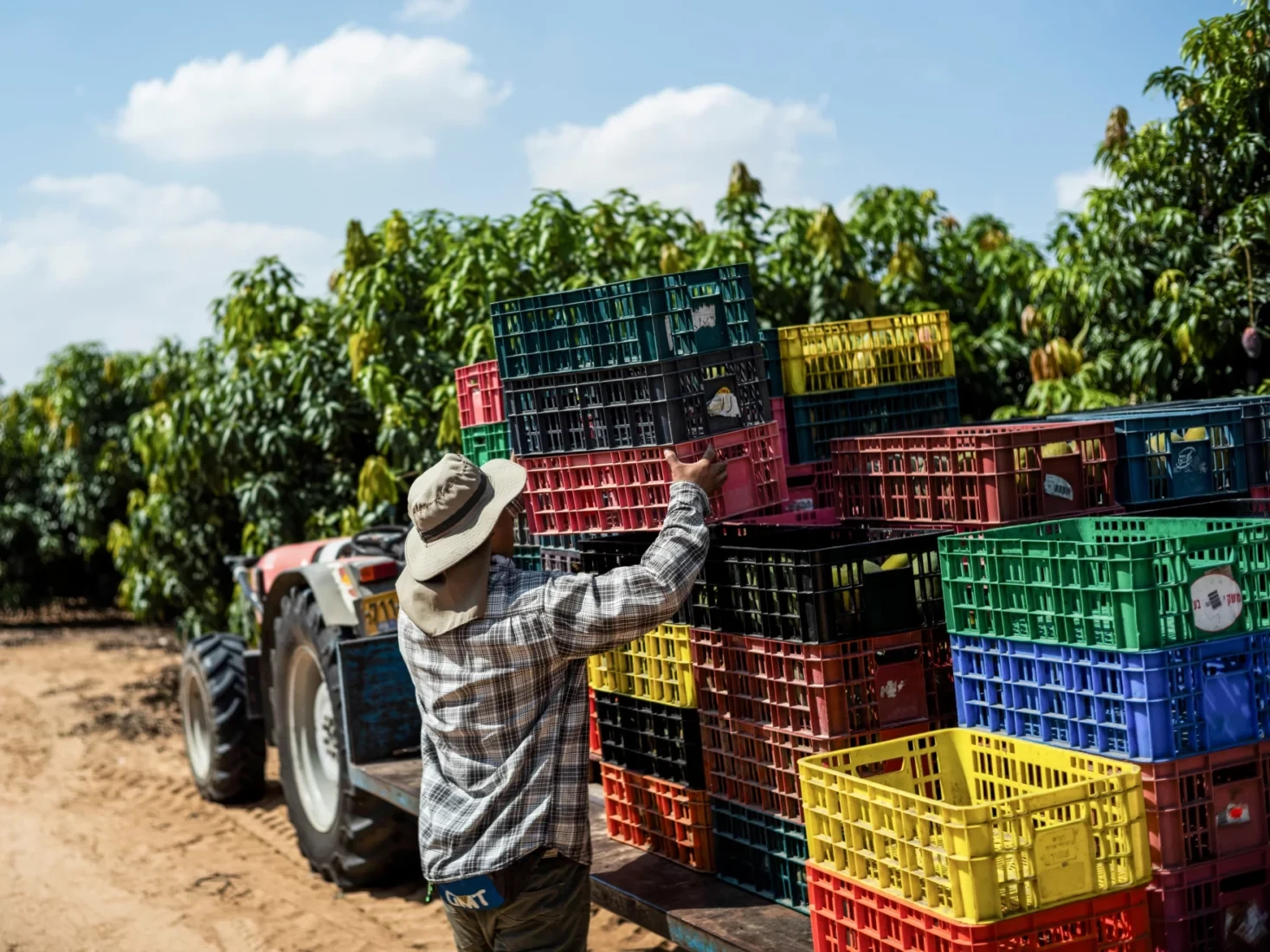 A Thai worker is seen working in fields in Israel near the Gaza Strip on October 12, 2023.