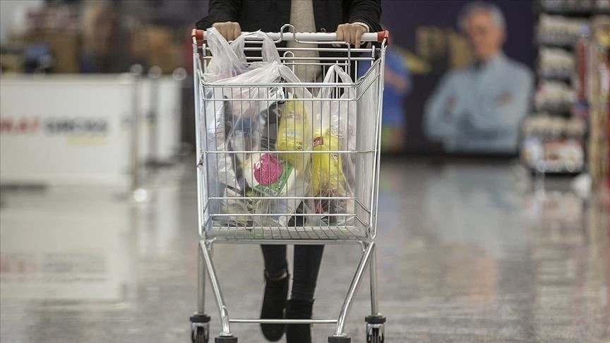 Photo shows an individual pushing a shopping cart.