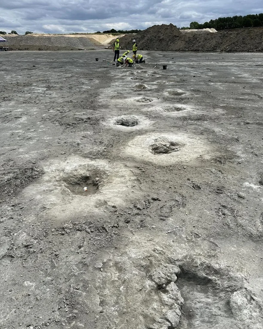 Jurassic journey: Massive 166M-year-old dinosaur footprints discovered in UK