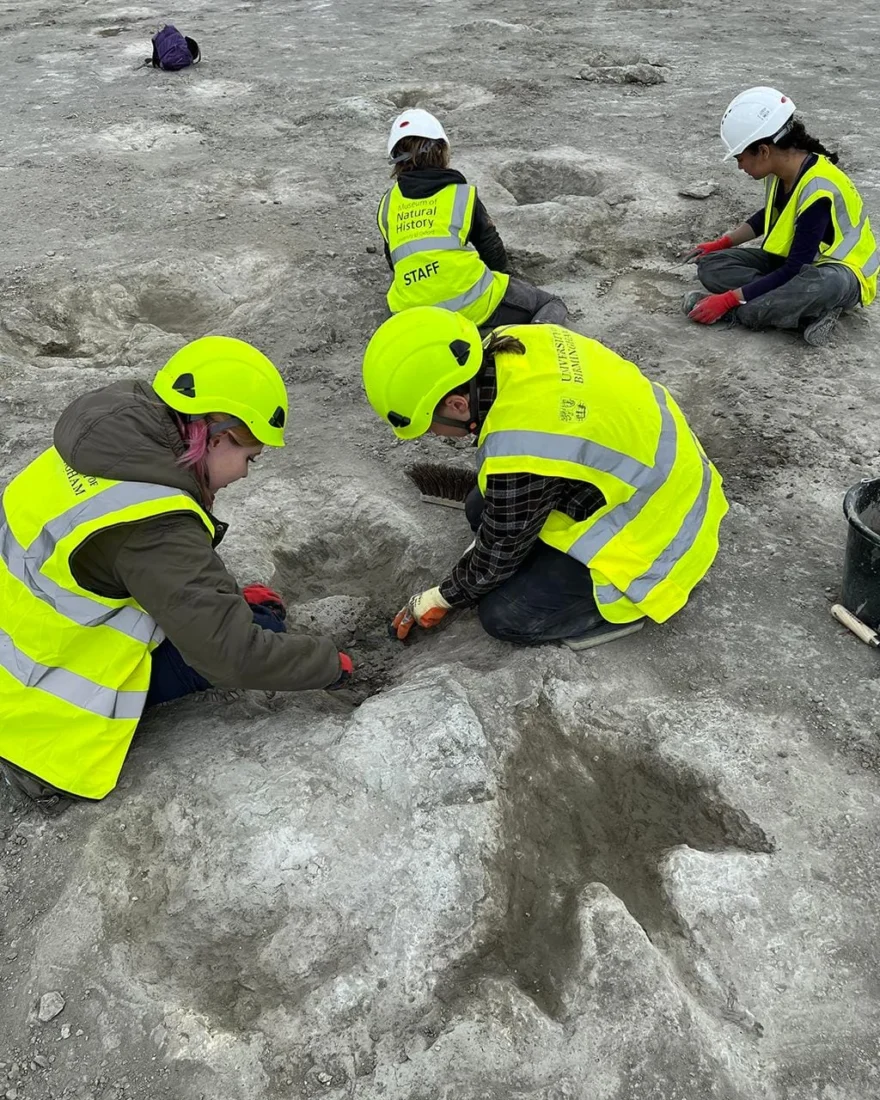 Jurassic journey: Massive 166M-year-old dinosaur footprints discovered in UK