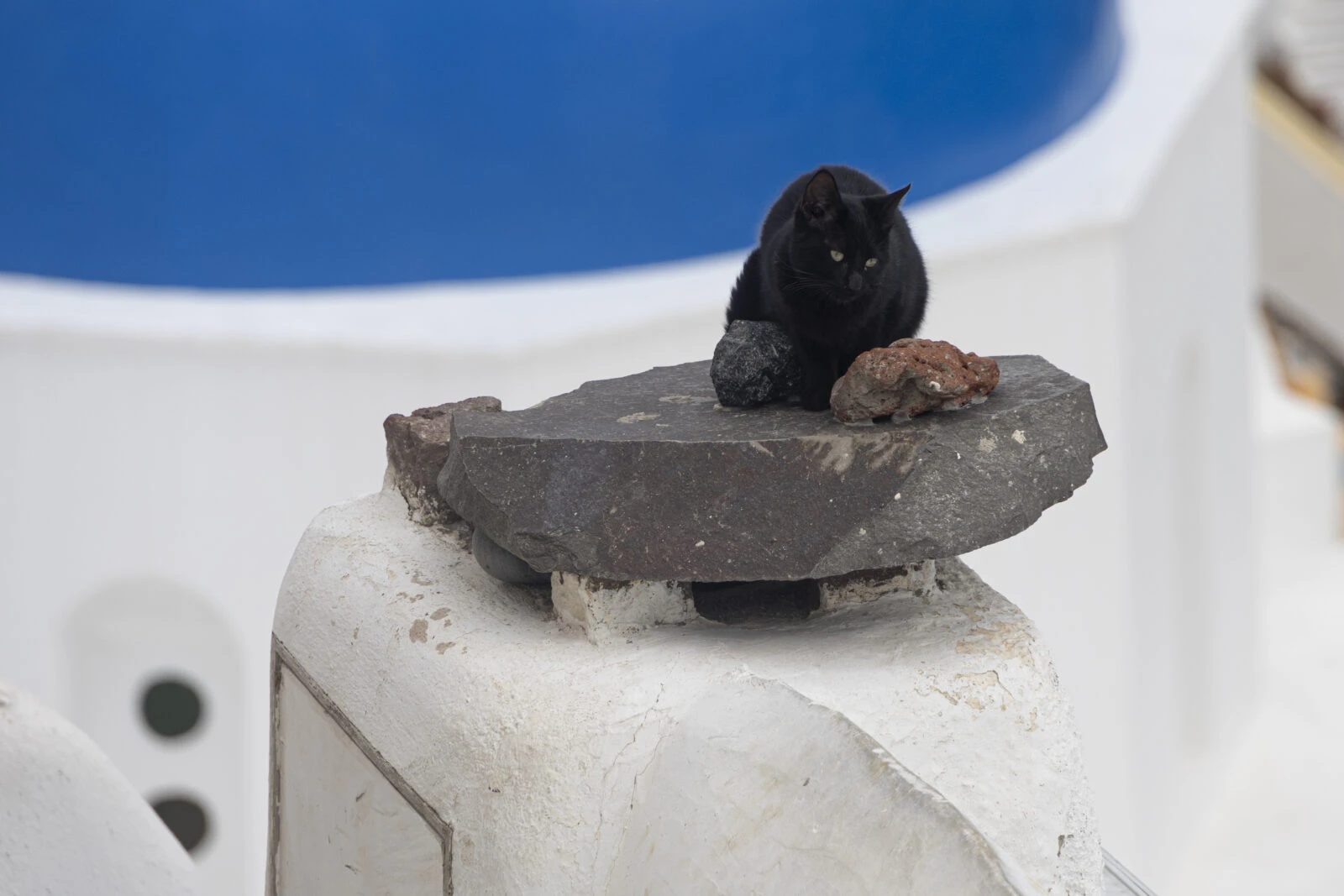 A cat sitting along the streets of Oia village on Santorini Island, where seismic activity continues.