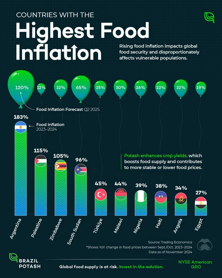 Chart shows which countries experience the highest food inflation.