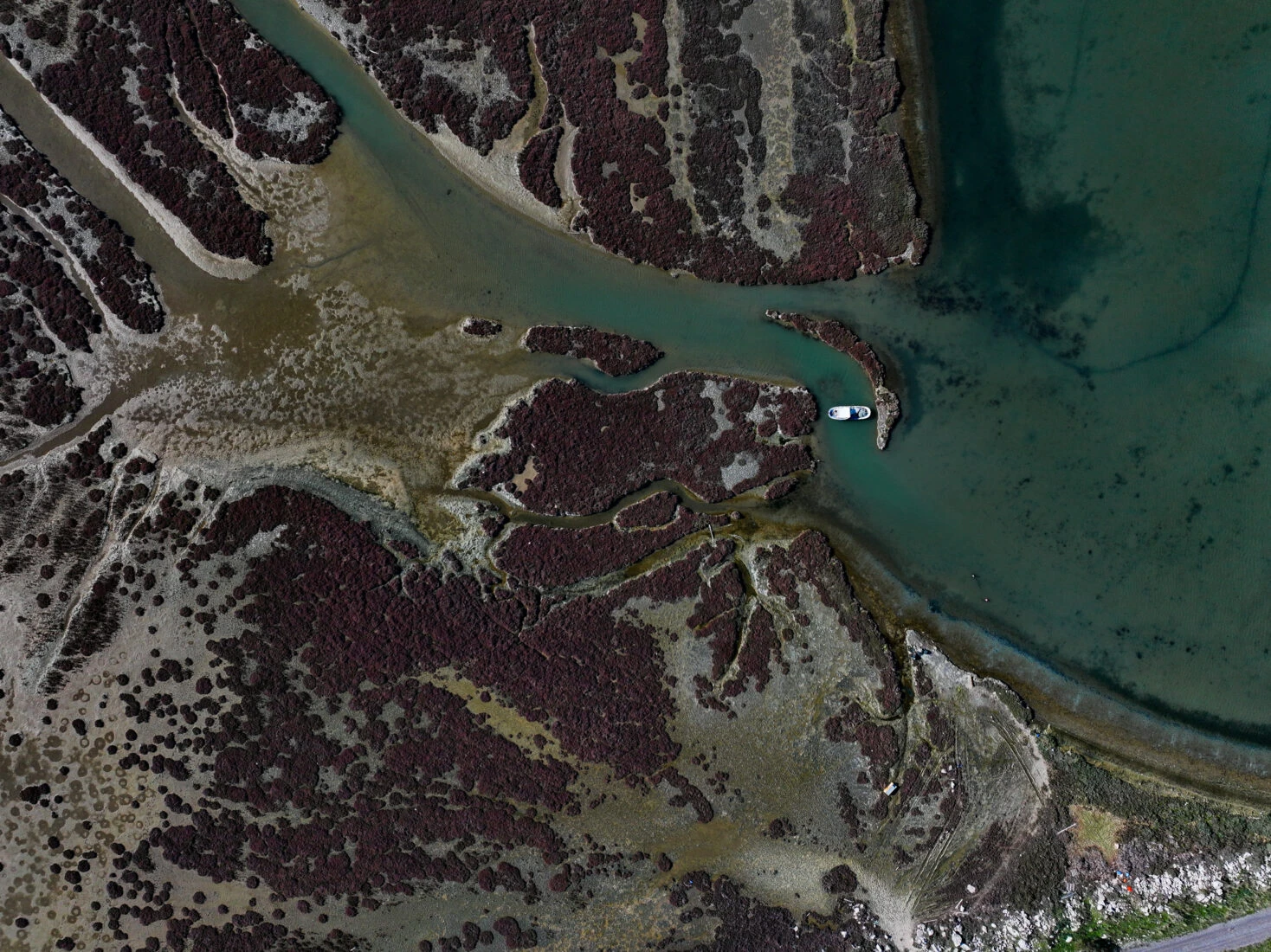 Aerial view of the Gediz Delta in İzmir, Türkiye, a crucial wetland under environmental threat, home to various bird species.