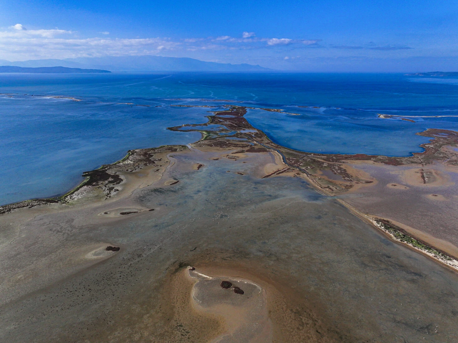 Aerial view of the Gediz Delta in İzmir, Türkiye, a crucial wetland under environmental threat, home to various bird species.