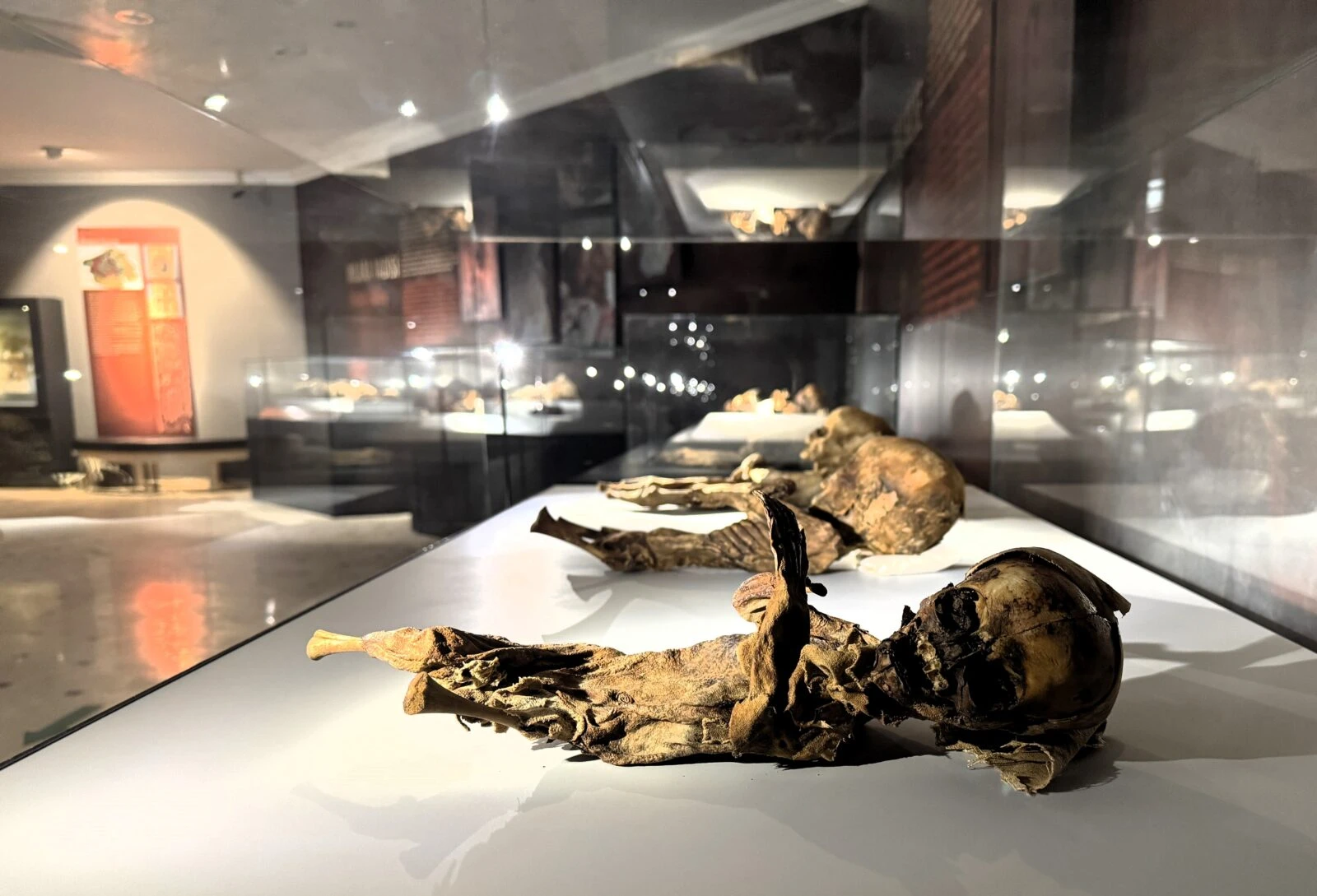 Child mummies displayed from Aksaray excavations.