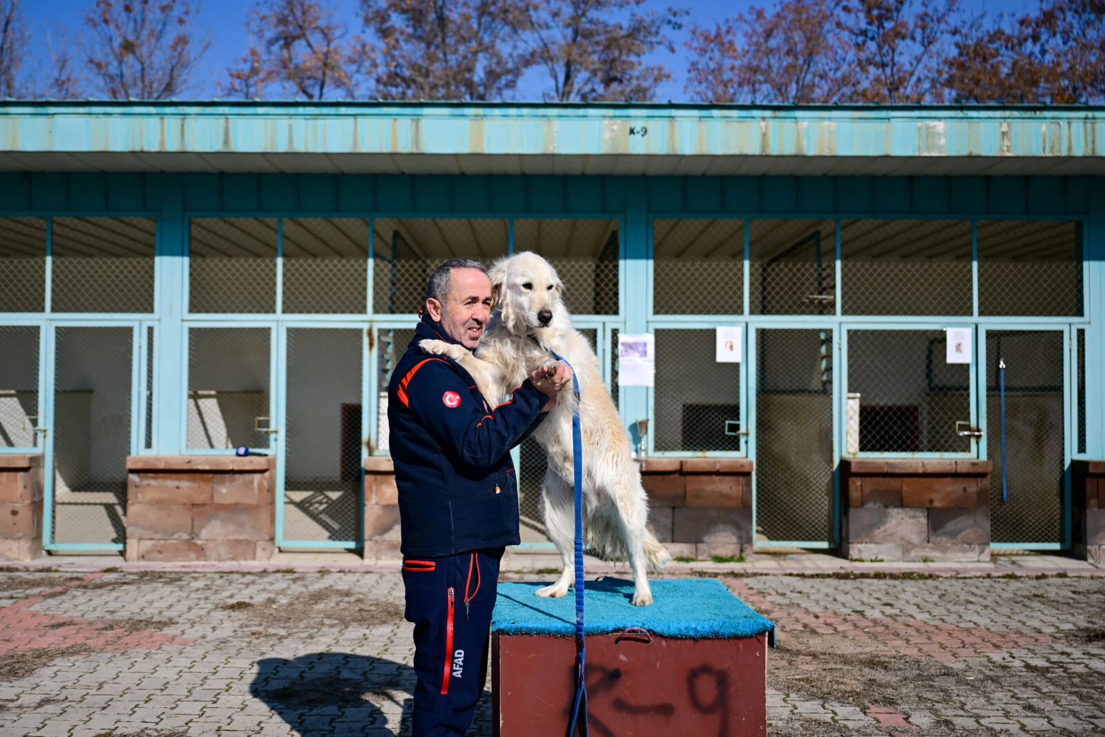 Photo shows “Poyraz”, the search and rescue dog