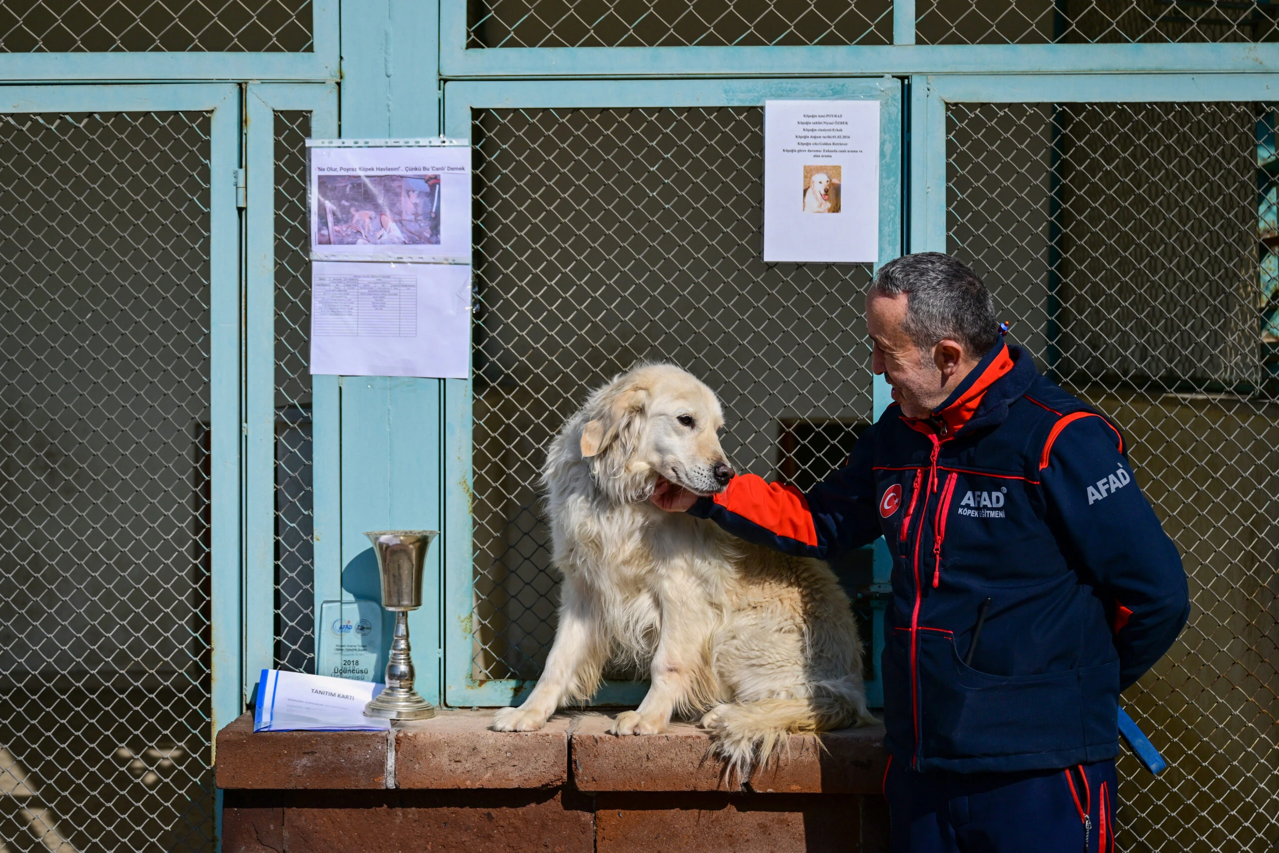 Legendary rescue dog Poyraz retires after saving 7 lives in Türkiye