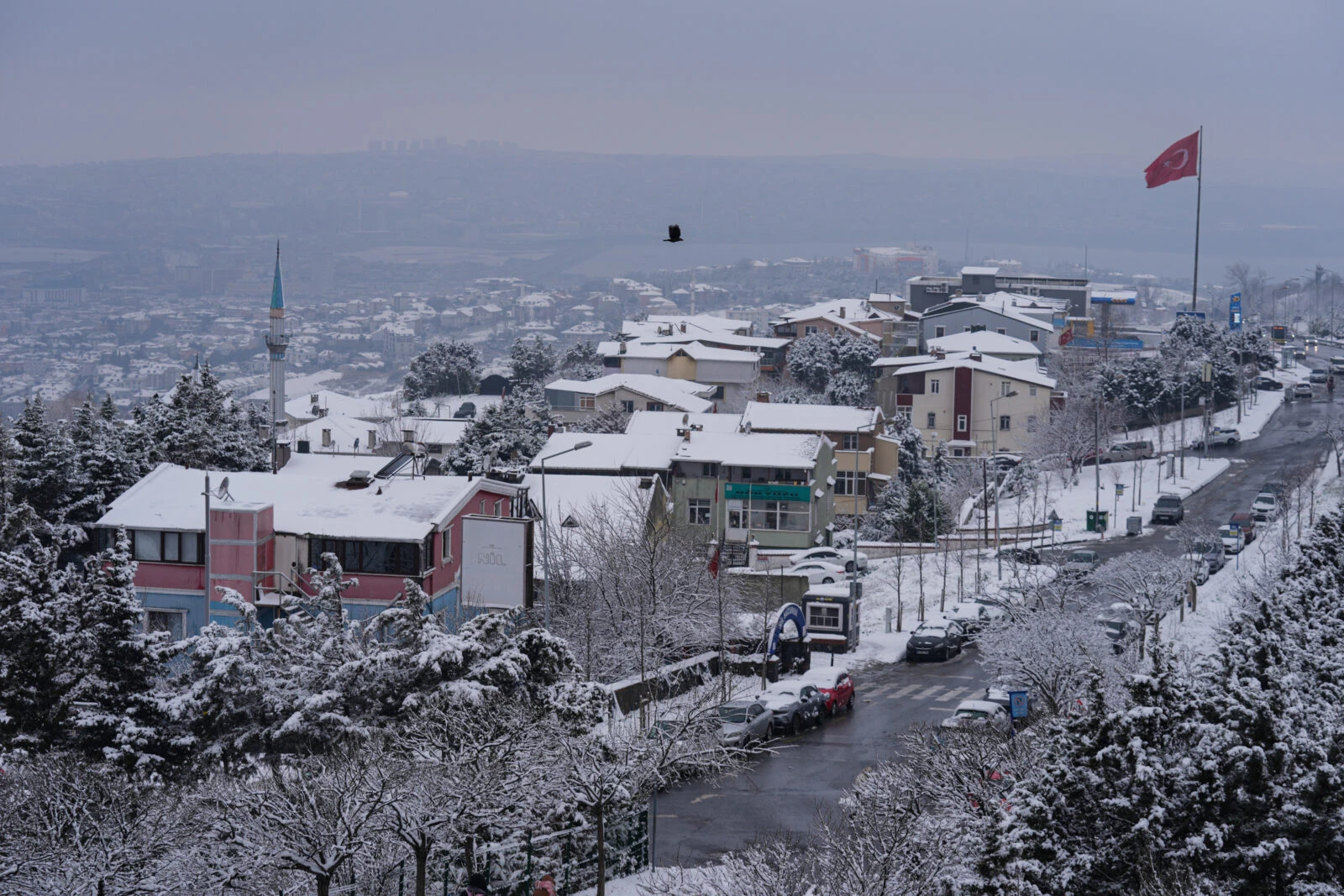 Ultimate survival guide for upcoming 4-day snowstorm in Istanbul