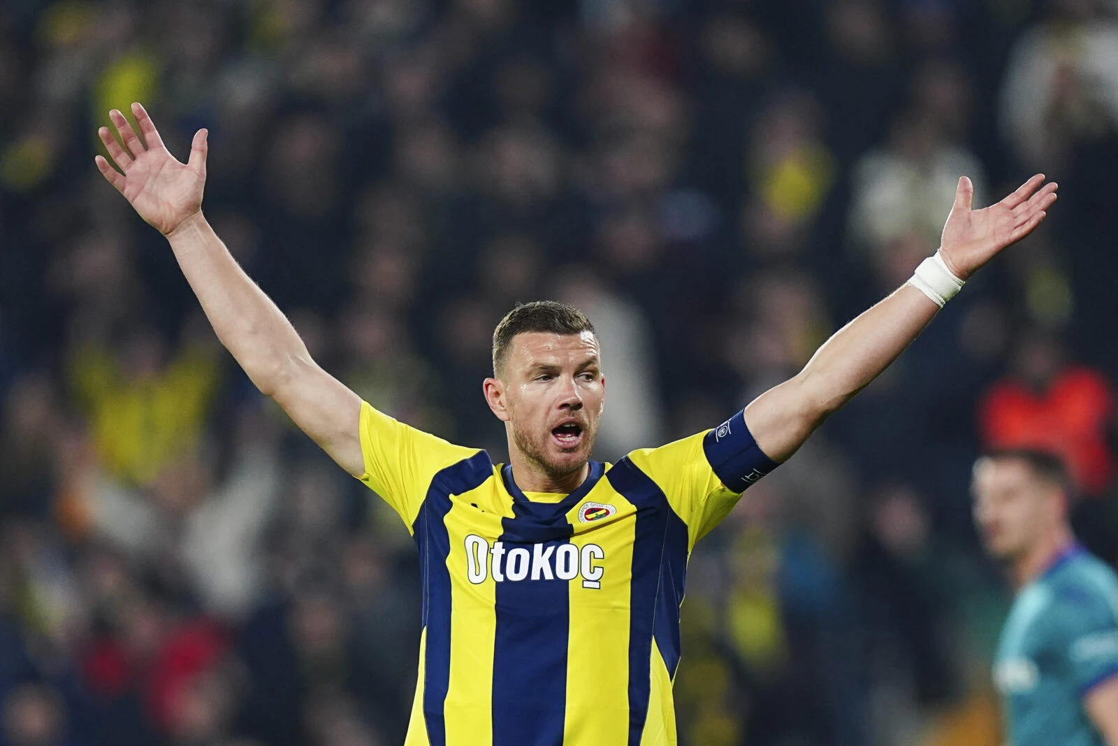 Photo shows Edin Dzeko of Turkey's Fenerbahce in action.